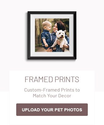 Framed Prints