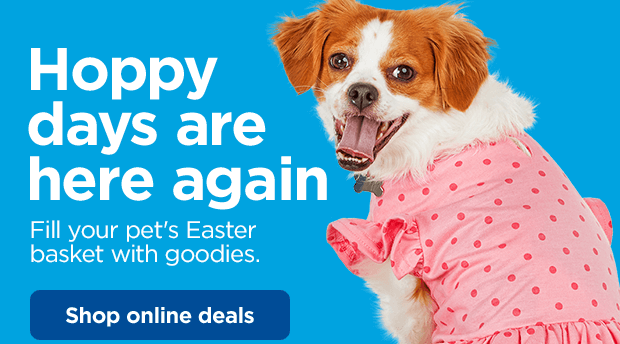 Hoppy days are here again. Fill your pet's Easter basket with goodies. Shop online deals.