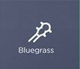 Online Bluegrass Lessons