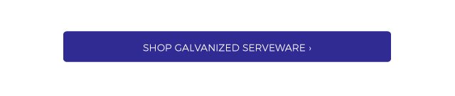 shop galvanized serveware ›