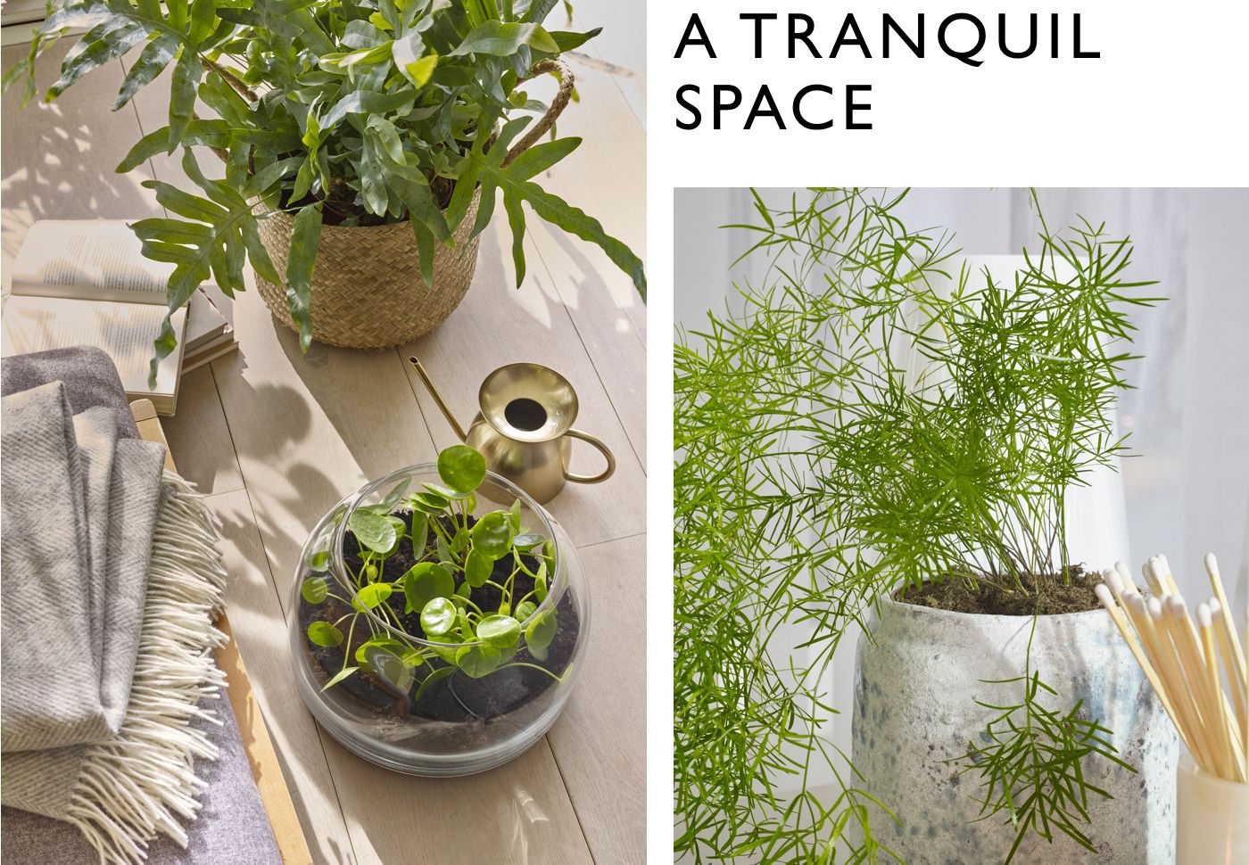 A tranquil space