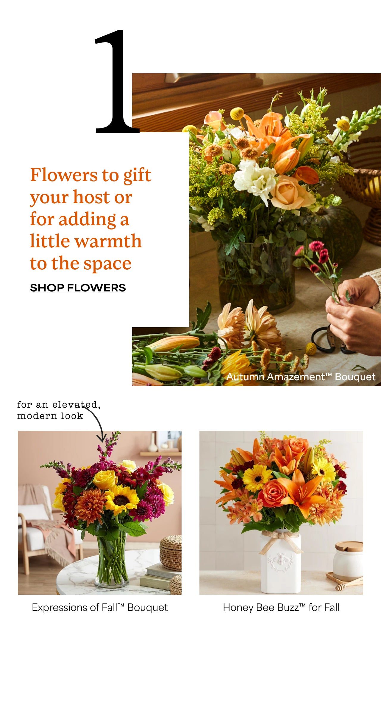 One | Flowers to Gift Your Host or For Adding A Little Warmth to the Space | Shop Flowers