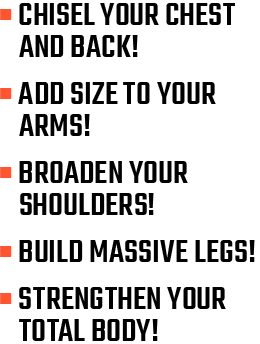 CHISEL YOUR CHEST AND BACK!