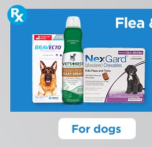 Flea & tick. For dogs.