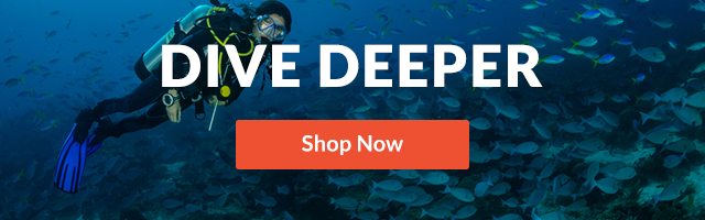 Dive Deeper - Shop Now