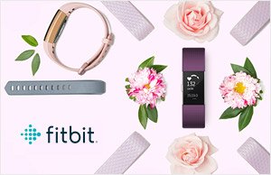 Fitbit Activity Trackers