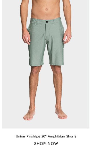 Product 4 - Union Pinstripe 20 In - Amphibian Shorts