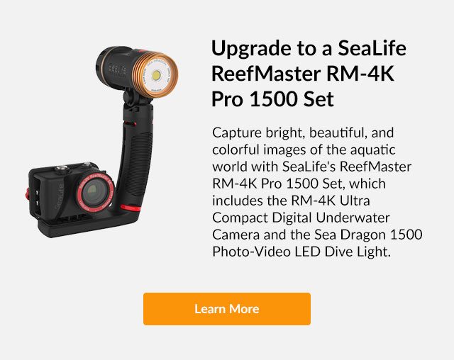Upgrade to a SeaLife ReefMaster | Learn More