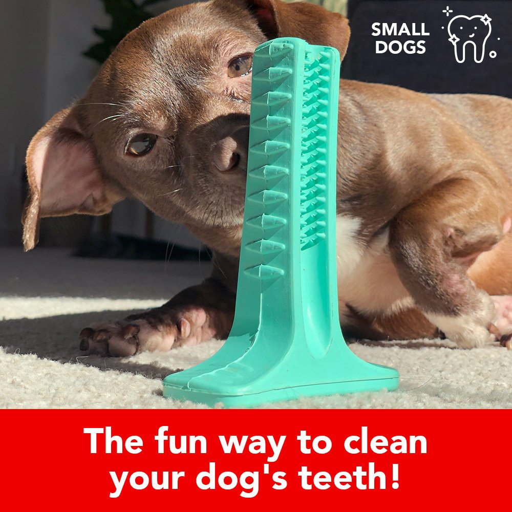 Image of Brite Bite Brushing Stick: The Revolutionary Way To Clean Your Dog’s Teeth They’ll Actually Love! 🇺🇸 Memorial Day Sale- 61% off
