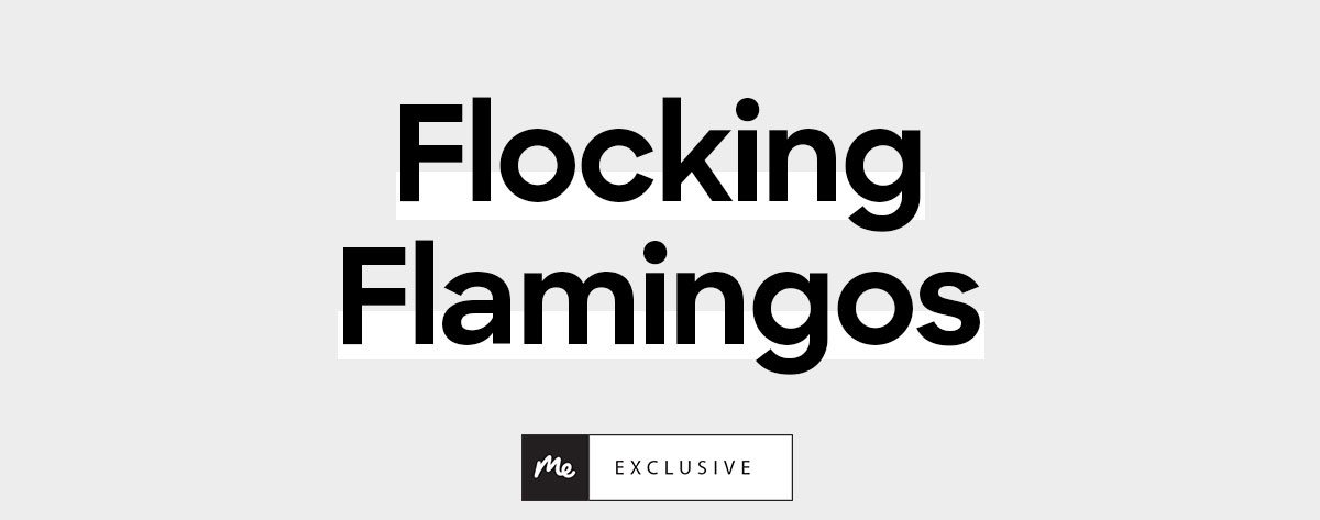Flocking Flamingos