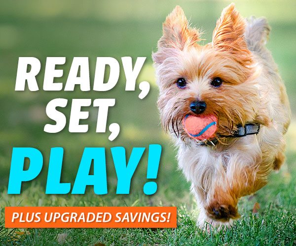Upgraded Savings: Pamper Your Pets! 10% Off | 20% Off over $79 | $3.99 Shipping over $99*