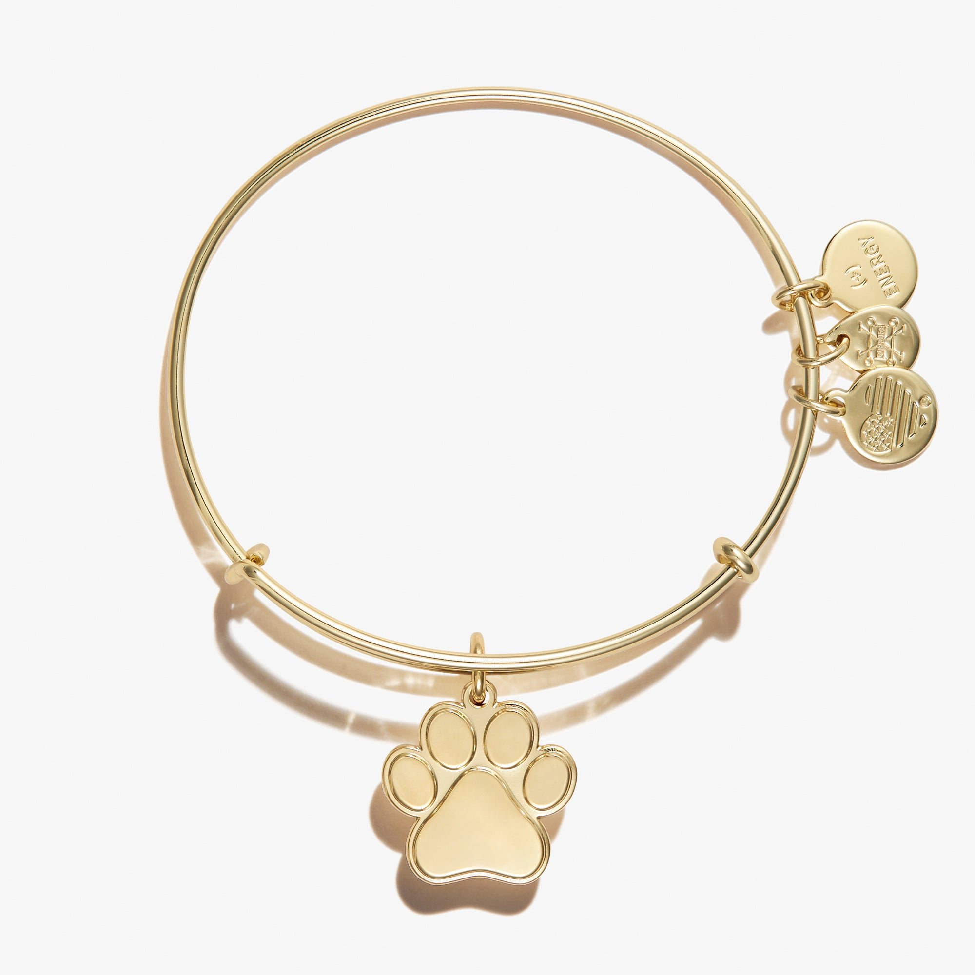 Paw Print Charm Bangle