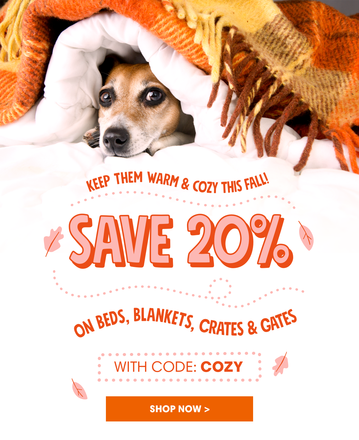 Save 20% on Beds, Carriers, Crates & Gates!
