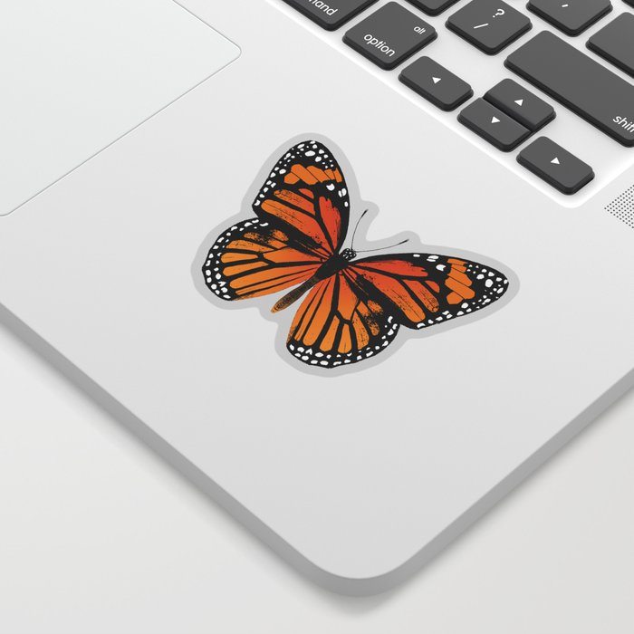 Monarch Butterfly | Vintage Butterfly |