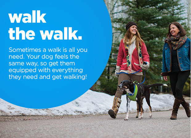 Walk the walk. Sometimes a walk is all you need. Your dog feels the same way, so get them equipped with everything they need and get walking!