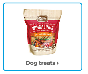 Dog treats >