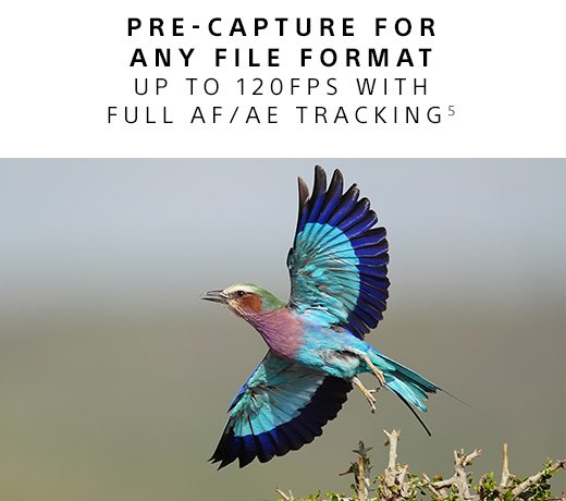 PRE-CAPTURE FOR ANY FILE FORMAT UP TO 120FPS WITH FULL AF/AE TRACKING(5)