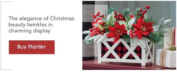 The elegance of Christmas beauty twinkles in charming display Buy Planter