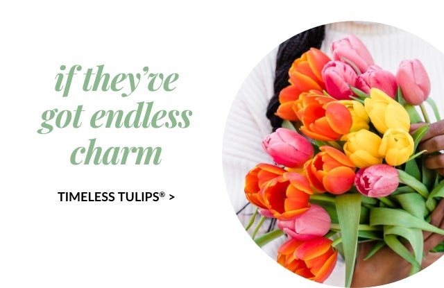 TIMELESS TULIPS