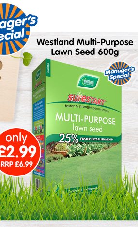 Westland Multi-Purpose Lawn Seed 600g