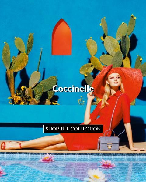 Coccinelle