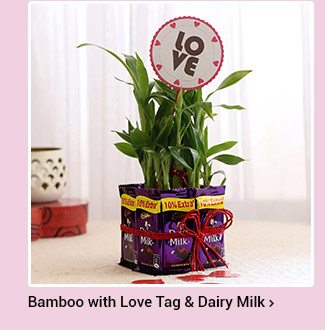 bamboo-tree-dairy-milk