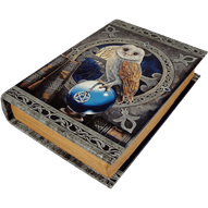 Spell Keeper Book Box