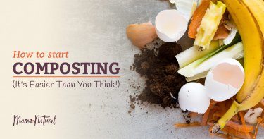 Composting is the best way to grow healthy, nutritious, safe food for our families. But isn’t that just code for cow poop? Nope! You can make your own compost at home, with mostly kitchen scraps and yard waste. Here's more about the benefits of composting and how to get started.