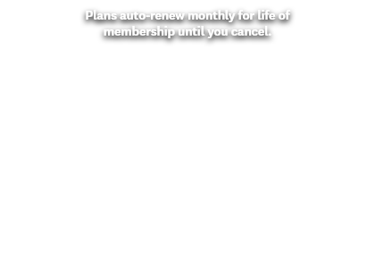Plans auto-renew at the standard monthly rate until you cancel.
