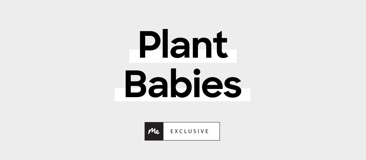 Plant Babies