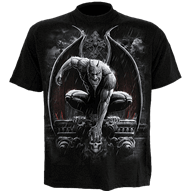 Stone Guardian T-Shirt