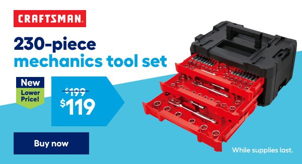 230-piece mechanics tool set. New lower price. $119 was $199.