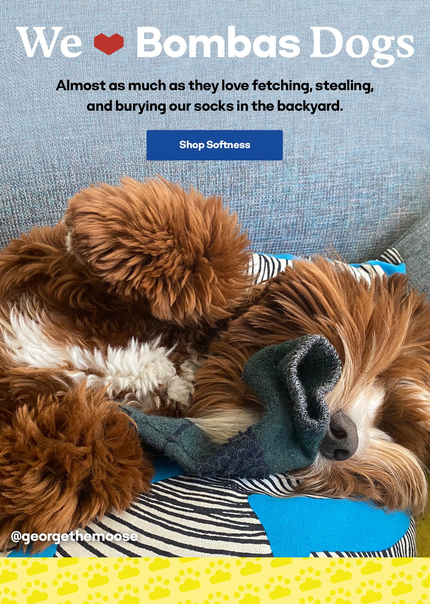 We heart Bombas Dogs | Almost as much as they love fetching, stealing, and burying our socks in the backyard. | Shop Softness