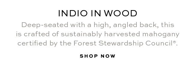 INDIO IN WOOD