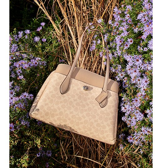 Beige Coach Bag