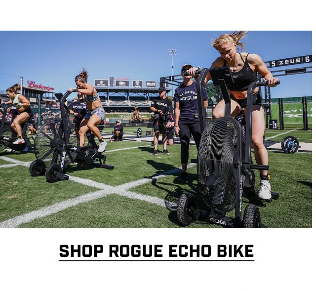 Shop Rogue Echo Bike