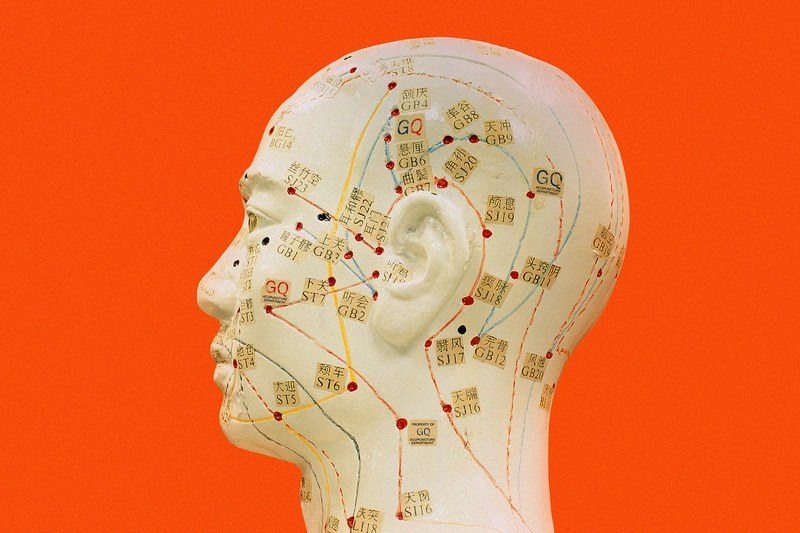 illustrated drawing of Acupuncture lines on a human head