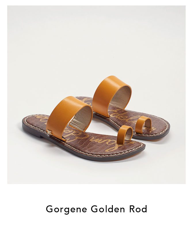 Gorgene Golden Rod