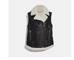 image of shearling vest