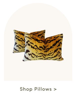 Shop Pillows