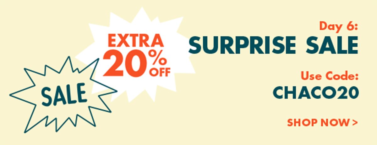 SURPRISE SALE - IMG