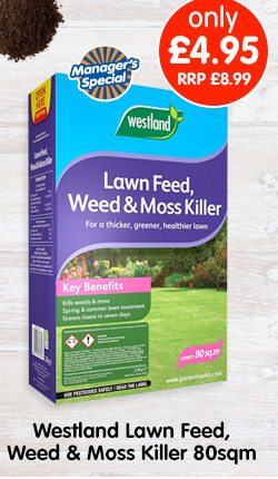 Westland Lawn Feed, Weed & Moss Killer 80sqm