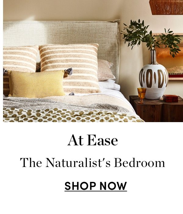 The Naturalist's Bedroom