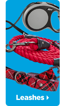 Leashes