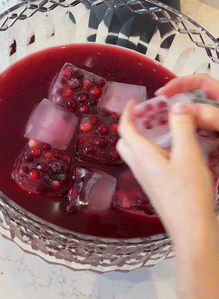 party-worthy pomegranate punch