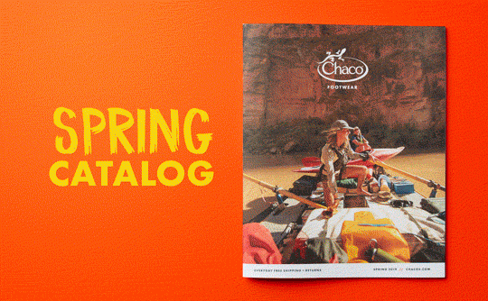 SPRING CATOLOG