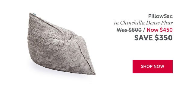 PillowSac in Chinchilla Dense Phur | SAVE $350 | SHOP NOW >>
