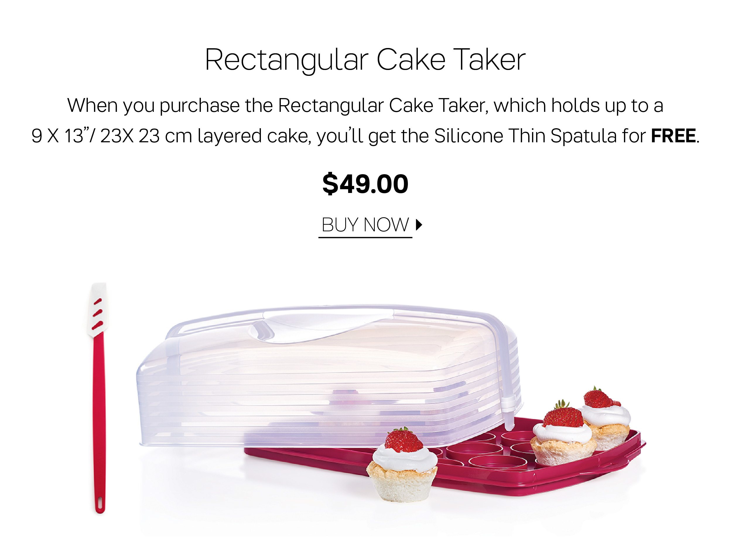 Rectangular cake taker