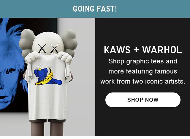 BANNER 1 - GOING FAST! KAWS AND WARHOL SHOP NOW.