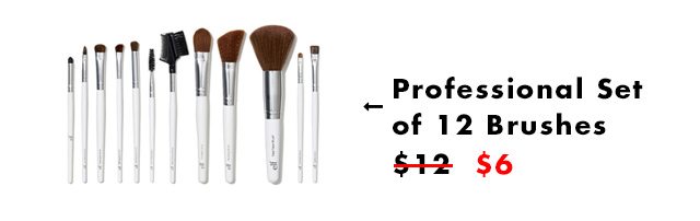 Professional Set of 12 Brushes